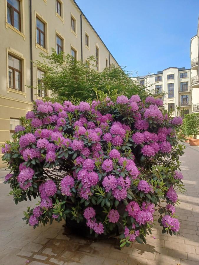 Apartament Piotrkowska 37 Studio Лодзь Экстерьер фото