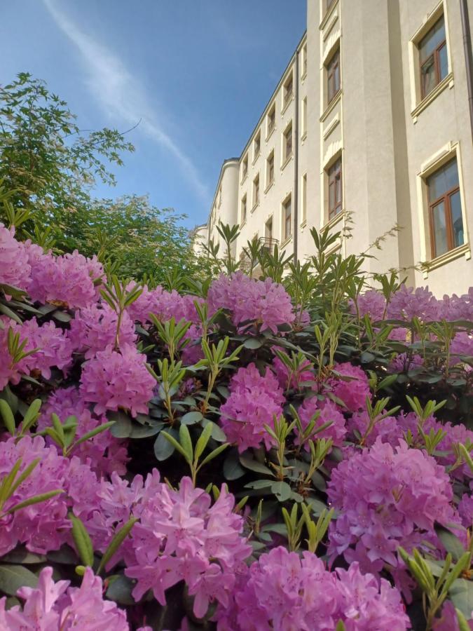 Apartament Piotrkowska 37 Studio Лодзь Экстерьер фото